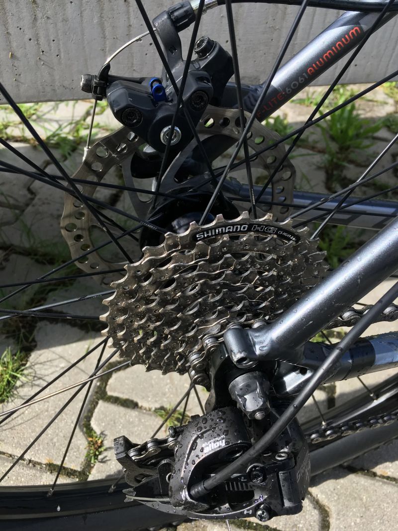 Felt nine80 29''