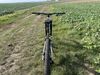 Radon Swoop 9