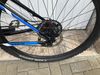 TREK 29