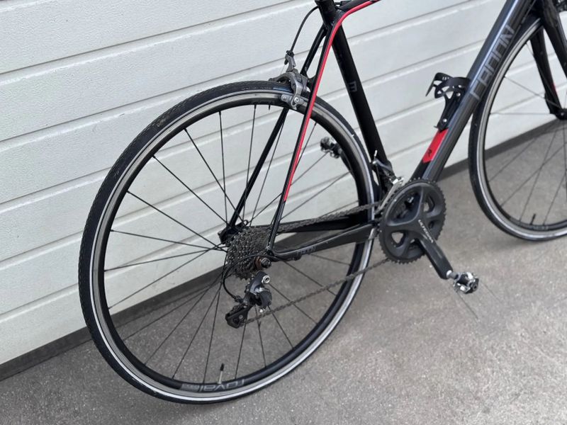 Radon sage carbon ultegra 