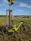 Scott Spark RC vel M