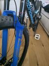 Mondraker-f-podium-rr 