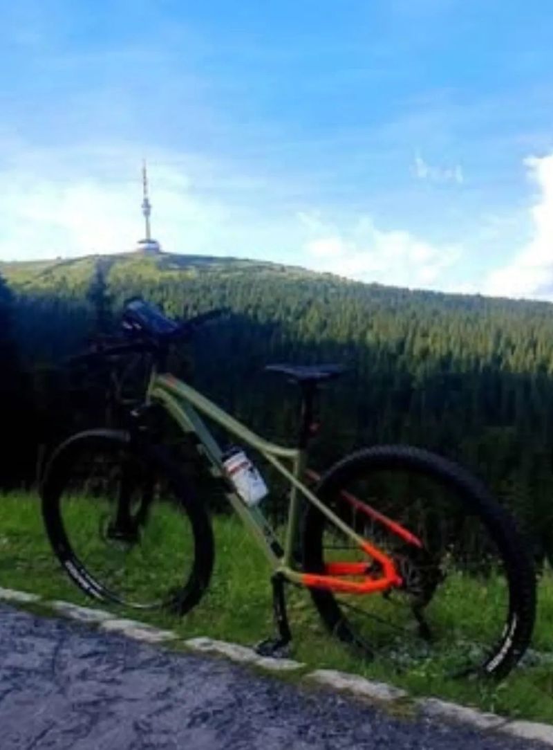 GT Avalanche Elite