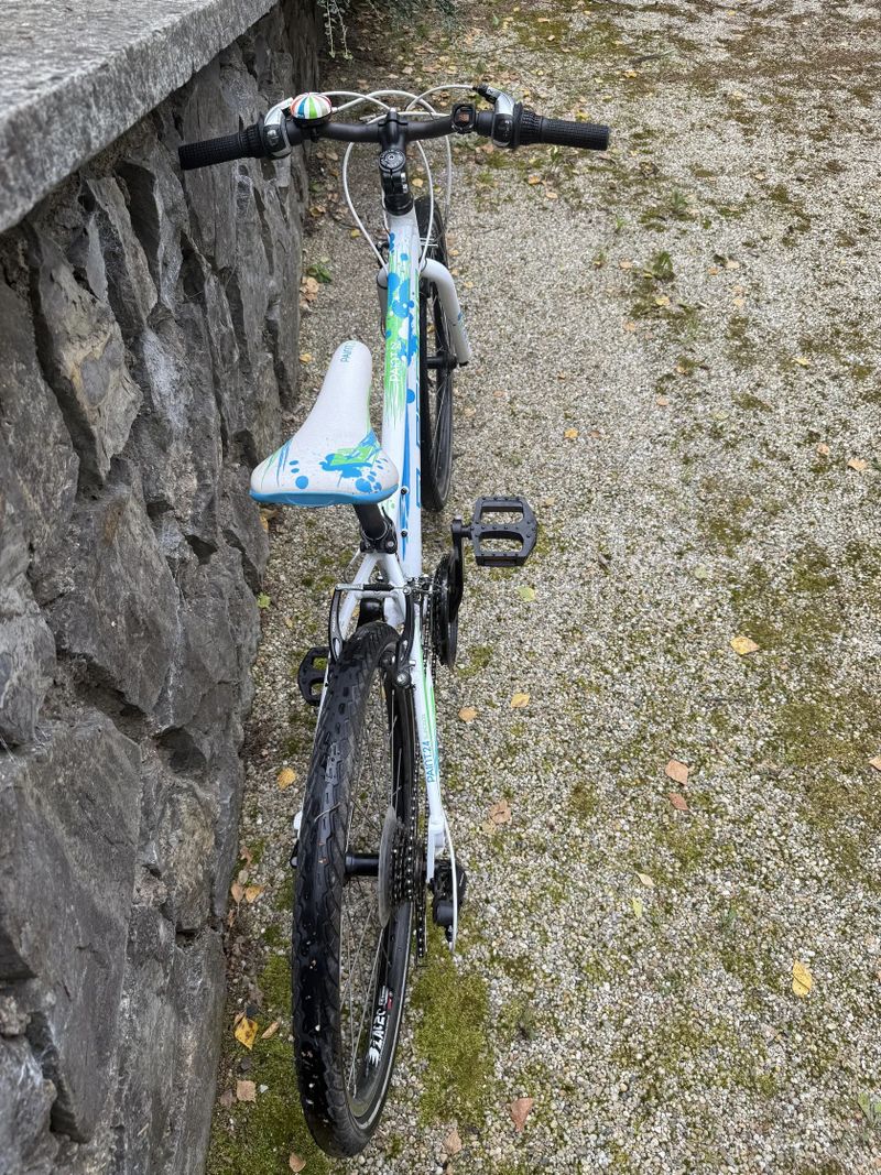 Superior Paint XC