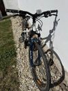 Specialized Ariel Sport