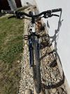 Specialized Ariel Sport