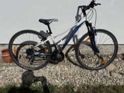 Specialized Ariel Sport