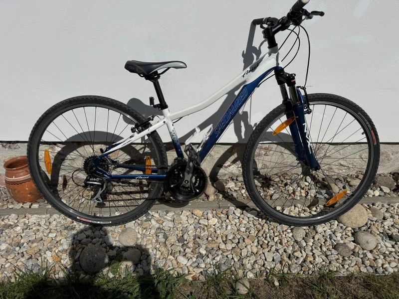 Specialized Ariel Sport