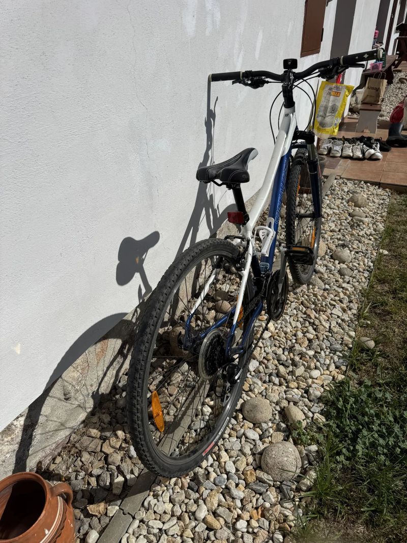 Specialized Ariel Sport