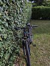 Rockrider ST100