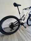 Specialized Turbo Levo 