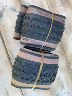 Bontrager Sainte-Anne RSL XR 29x2.4 (2ks) 