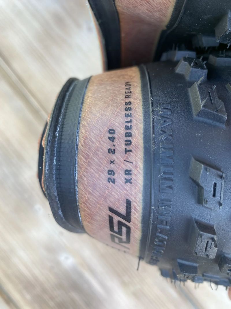 Bontrager Sainte-Anne RSL XR 29x2.4 (2ks) 