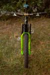 Propain Tyee CF 6.1 2025