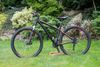 Focus Black Forest LTD 29