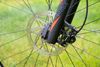 Focus Black Forest LTD 29