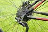 Focus Black Forest LTD 29