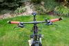 Focus Black Forest LTD 29