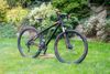 Focus Black Forest LTD 29