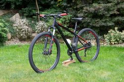 Focus Black Forest LTD 29