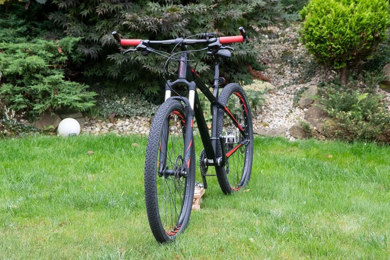 Focus Black Forest LTD 29