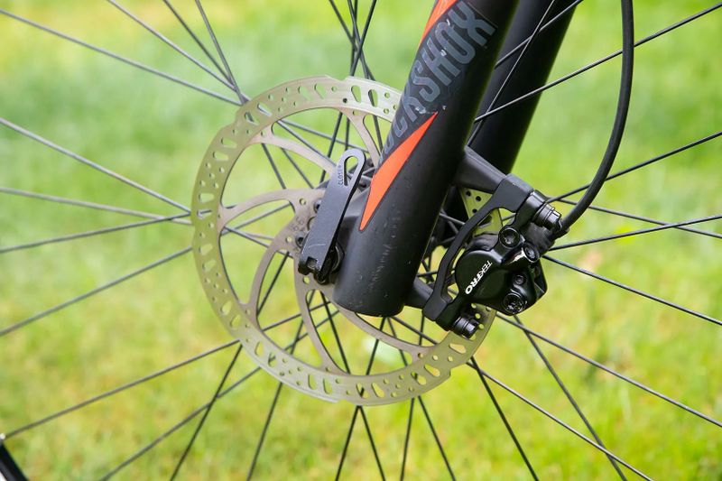 Focus Black Forest LTD 29