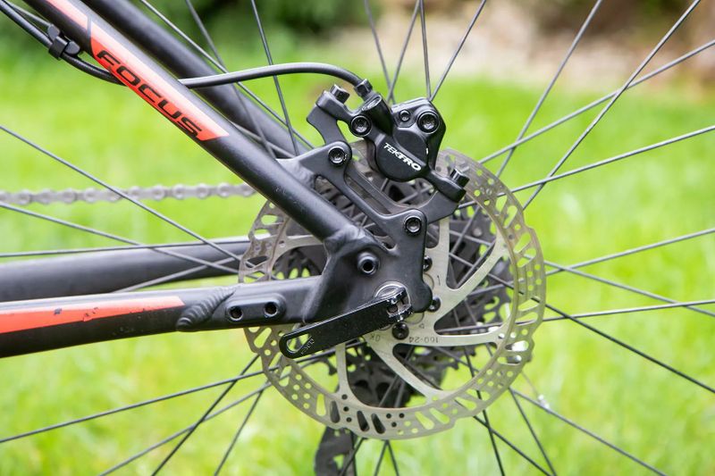 Focus Black Forest LTD 29