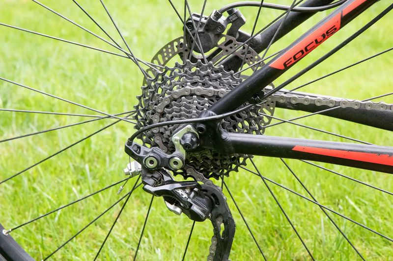 Focus Black Forest LTD 29