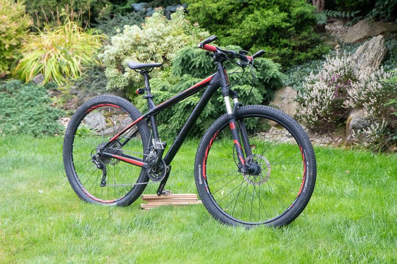 Focus Black Forest LTD 29