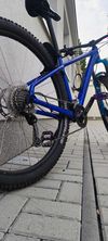 Specialized Rockhopper sport 29