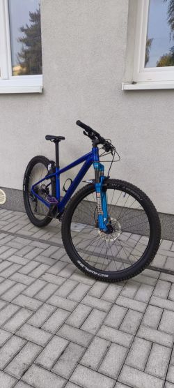 Specialized Rockhopper sport 29