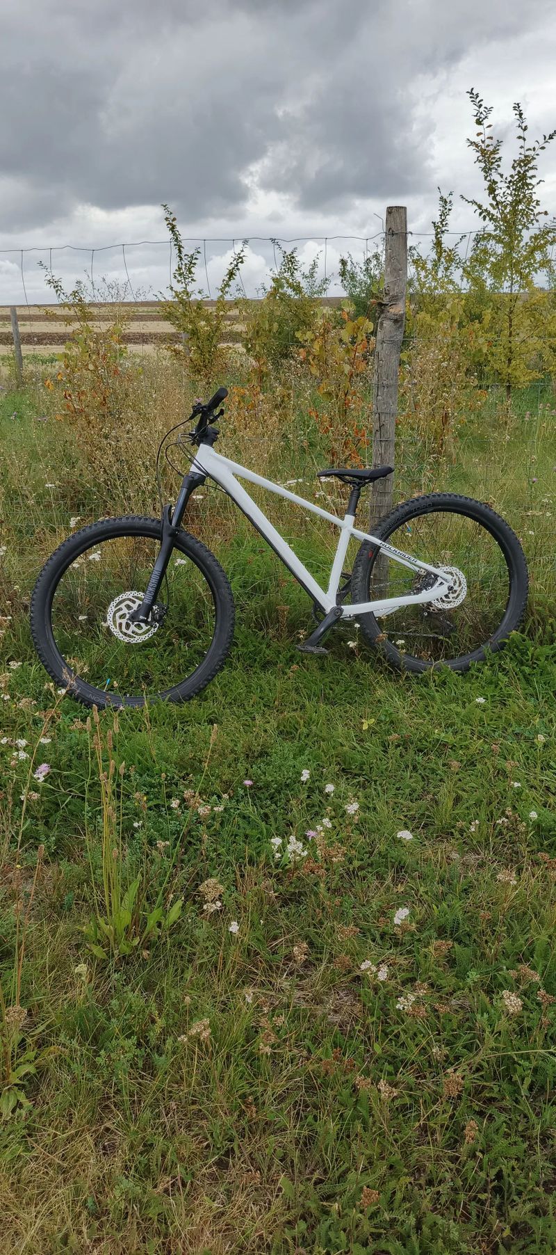 Rockrider AM100