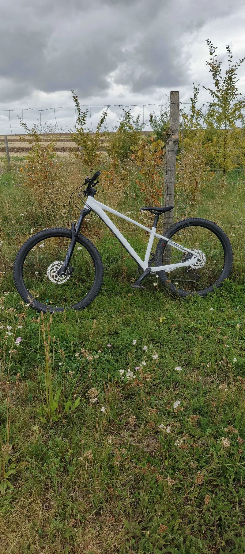 Rockrider AM100
