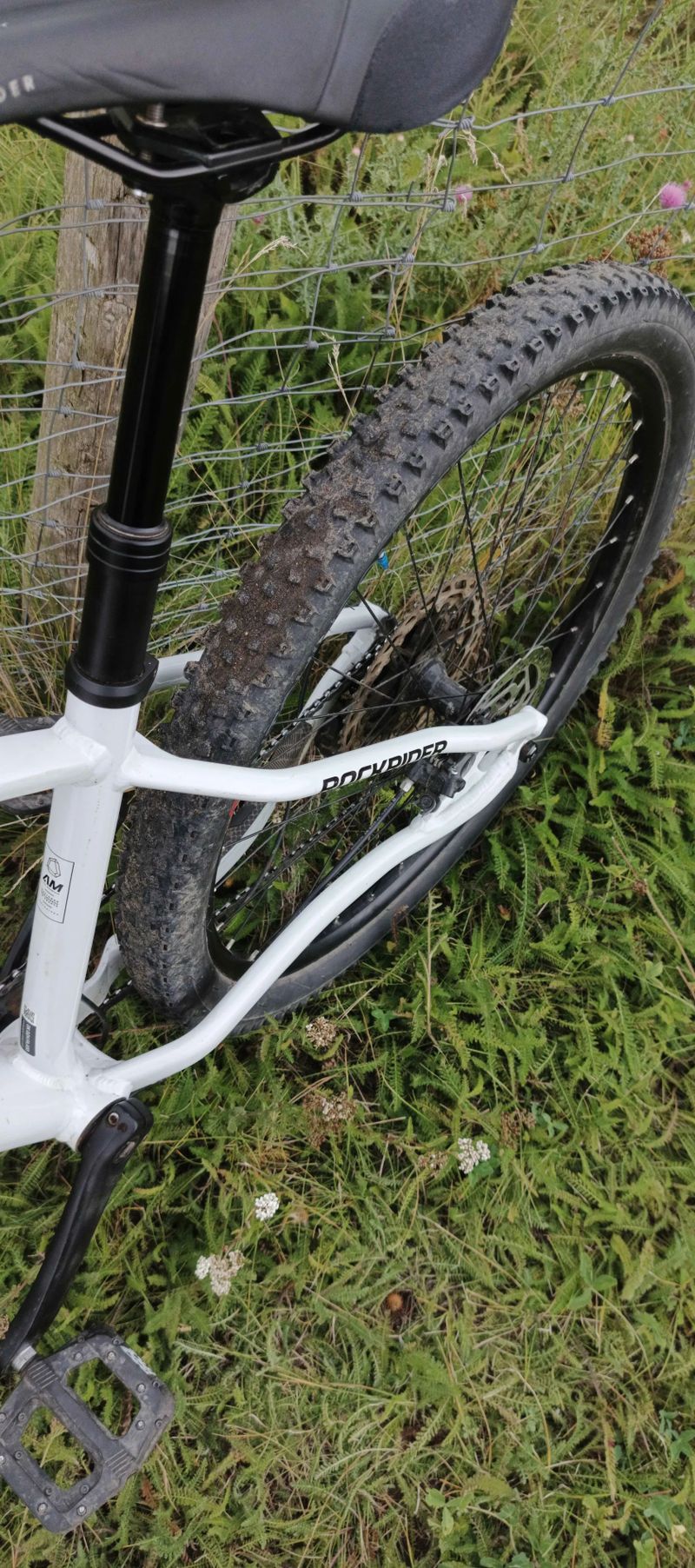 Rockrider AM100