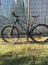 Rock Machine Torent 30