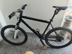 Městsko/horské kolo 