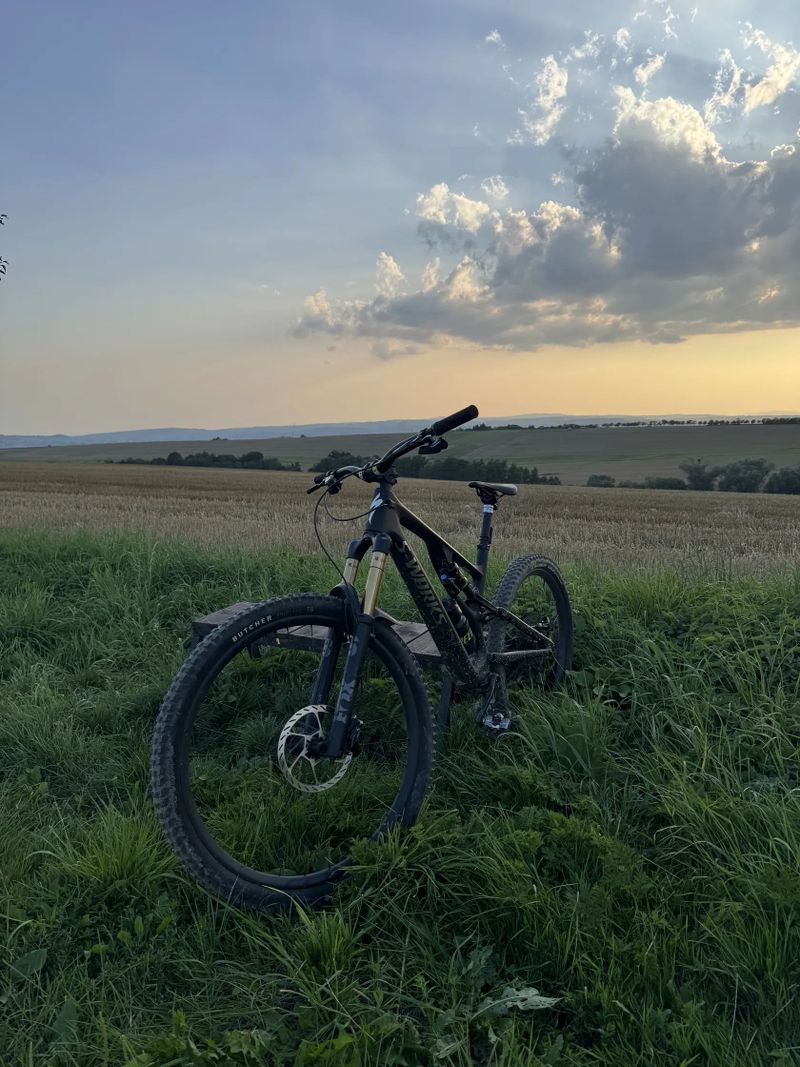 SWORKS Specialized Stumpjumper