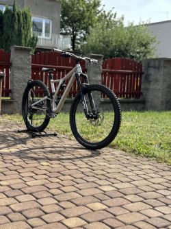 Specialized Stumpjumper EVO Comp Alloy (2019)