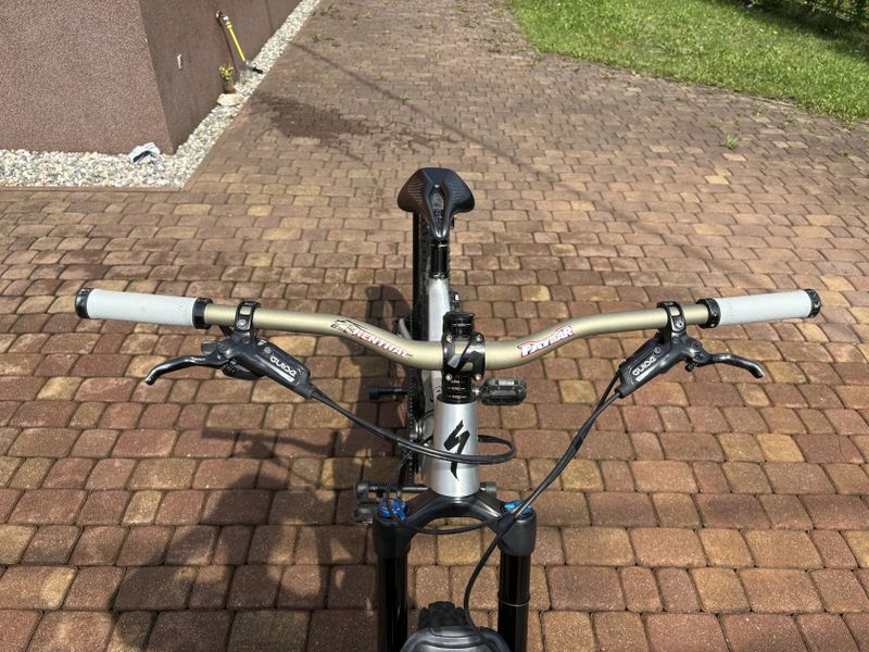 Specialized Stumpjumper EVO Comp Alloy (2019)