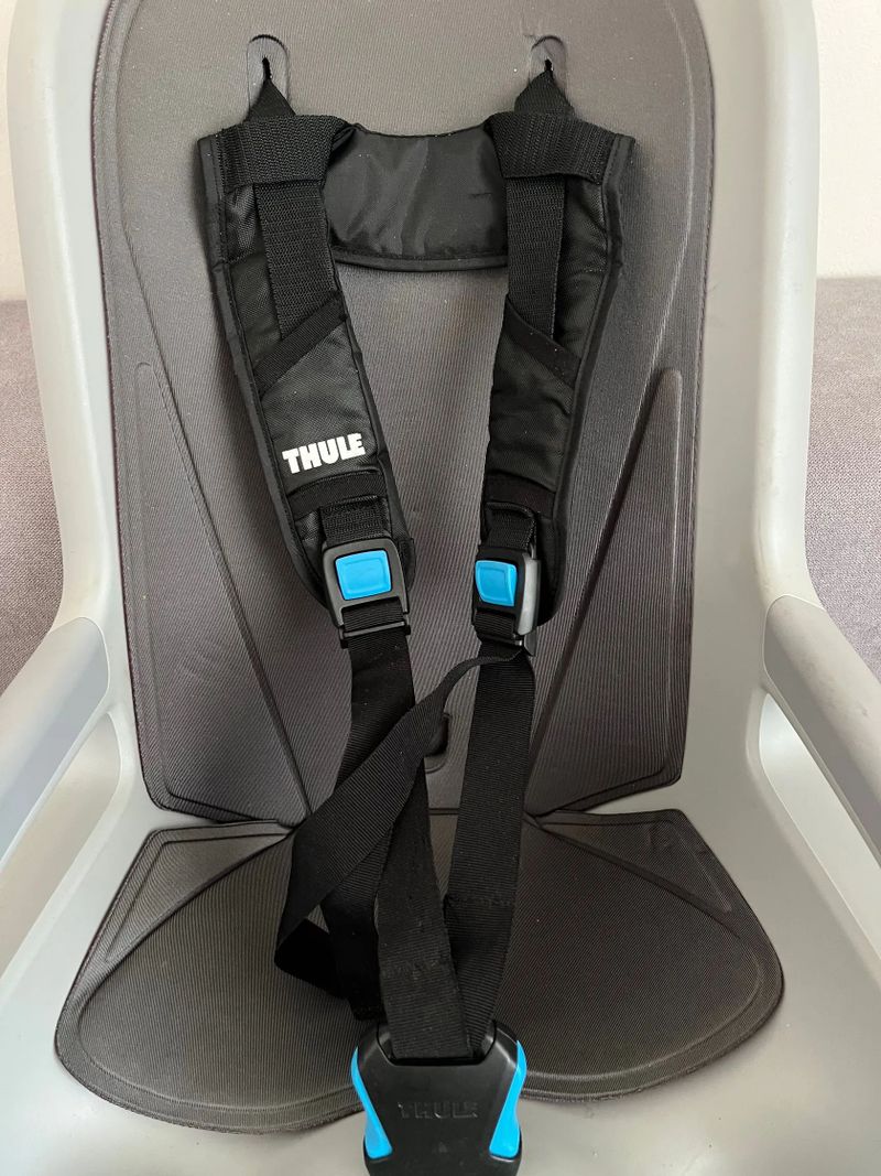 Thule RideAlong 2