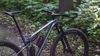 Wilier Urta MAX SL / AXS 