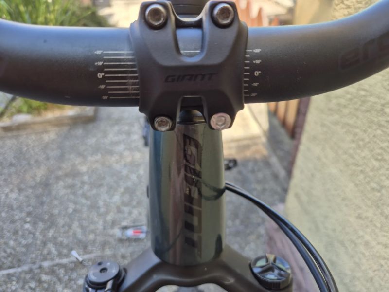 Horské kolo Giant XTC Advanced 3 29