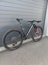 Trek Supercaliber SLR Gen 2 flight attendant vel. L 