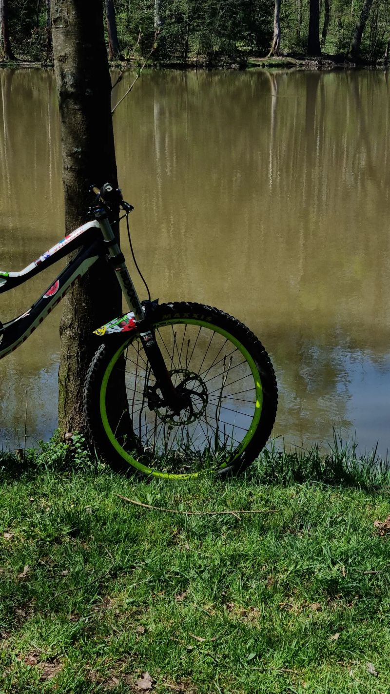 Specialized demo 8 2013