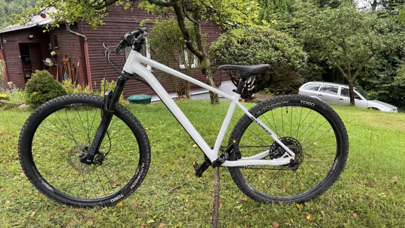 ROCKRIDER AM100 vel.L