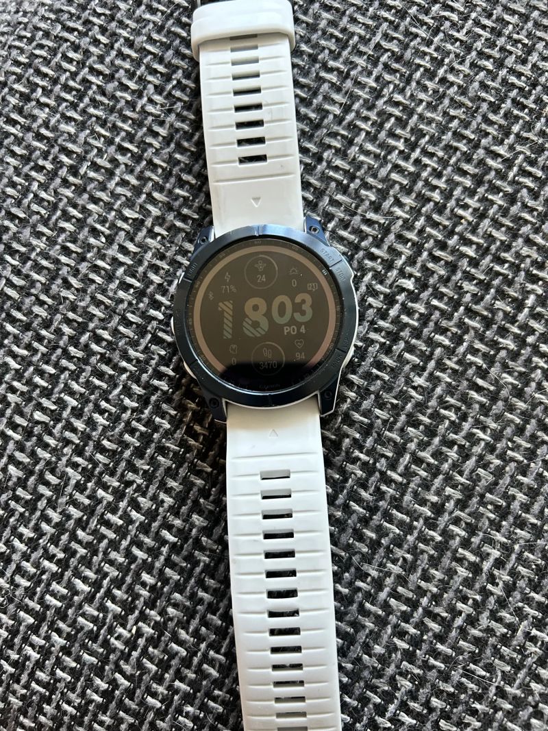 Garmin Fenix 7X 