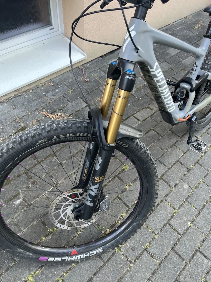 Specialized enduro (s-works)