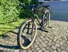 Specialized EPIC - Seam GX ASX - L 9,9 kg
