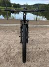 Specialized EPIC - Seam GX ASX - L 9,9 kg