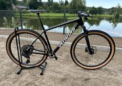 Specialized EPIC - Seam GX ASX - L 9,9 kg